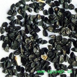 葱籽 葱子新货 选货 颜色好 产地直销 供应各种中药材 冷背货 矿石等 产地 山东省图2