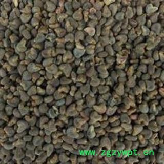 冬葵果 冬葵果净货 产地 山东省 冬葵子 选货 无霉变 无虫蛀图3