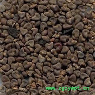 冬葵果 冬葵果净货 产地 山东省 冬葵子 选货 无霉变 无虫蛀图2