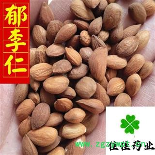 郁李仁 郁李仁选货 诚信铸就未来 产地山西省图2