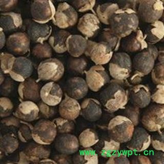 蔓荆子 选 颜色好 供应各种中药材 产地 云南省图2