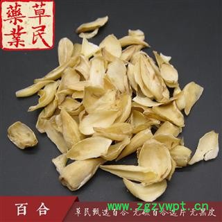 草民甄选百合、无硫百合选片 无黑皮 专业批发量大从优图2