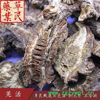 草民甄选蚕羌头、羌活纯大片，正品川羌活选片！实物如图！图4