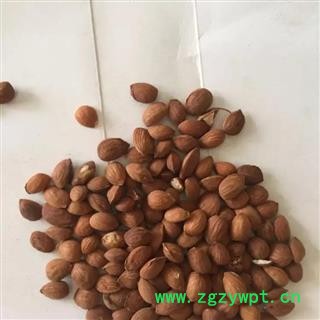 亳州花田错药业  山桃仁 统 产地 山西省图2