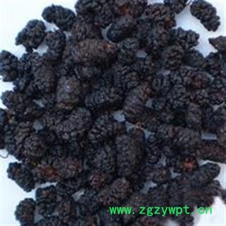 【录建药业】新货桑椹子1000克 产地直销 重在品质  干净无杂质   规格齐全 批发零售抓方打粉图4