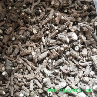 柴胡 柴胡 产地 甘肃省图2