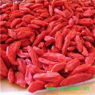 【录建药业】枸杞 颗粒饱满产地 宁夏回族自治区中卫市中宁县图2