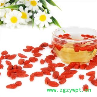 【录建药业】枸杞 颗粒饱满产地 宁夏回族自治区中卫市中宁县图4