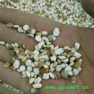 芡实米半     产地  广东图2