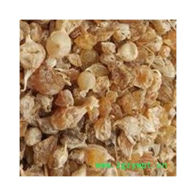 薤白 薤白新货统货 产地 陕西省