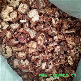 丹参 甘肃丹参 选货 产地 甘肃省图2