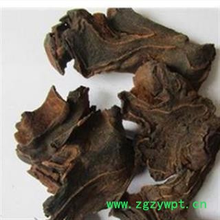 狗脊 制金毛狗脊 产地 广西壮族自治区图2