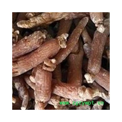 红参个 精品红参低糖30支 颜色好 干度好 产地 吉林省