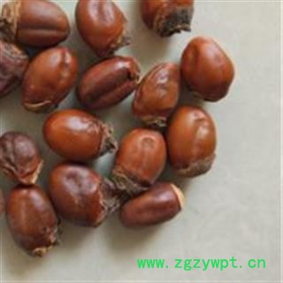 荔枝核 荔枝核统货 产地 广西壮族自治区图3