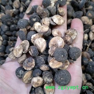 鹅眼枳实 江西鹅眼枳实对半 产地 江西省图2