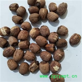 红莲子 湖南湖北实心红莲子个头匀称无虫蛀烂子 产地 湖南省图3