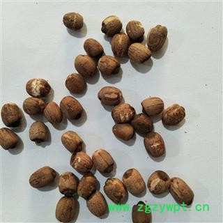 红莲子 湖南湖北实心红莲子个头匀称无虫蛀烂子 产地 湖南省图4