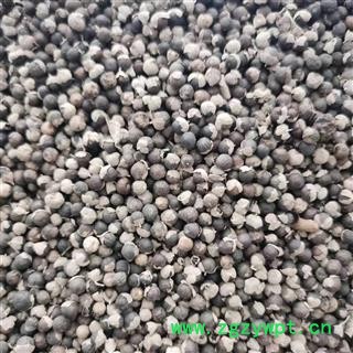 蔓荆子 云南蔓荆子小粒统货 产地 云南省图2