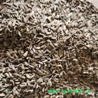 牛蒡子 牛蒡子净货 产地 甘肃省图2