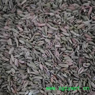 小茴香 小茴香纯青净货 产地 广西壮族自治区图2