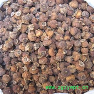 刺梨 选 供应各种中药材 产地 四川省 刺梨子图3