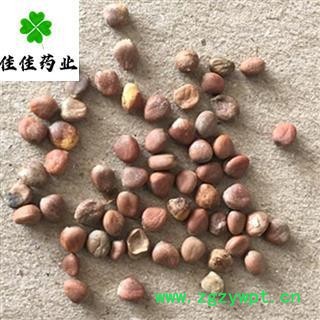 莱菔子 莱菔子选货 无杂质 产地直销 净货 产地 山东省 萝卜籽 批发各类中药材 冷背货 矿石等图2