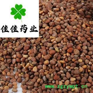 莱菔子 莱菔子选货 无杂质 产地直销 净货 产地 山东省 萝卜籽 批发各类中药材 冷背货 矿石等图3
