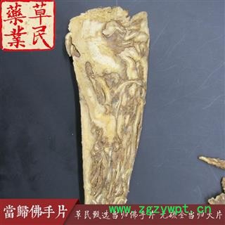 草民甄选当归佛手片 无硫全当归大片 身干无杂 专业批发量大从优图4