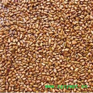 亳州花田错药业 决明子图2