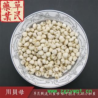 草民甄选川贝母 无硫小松贝 精品珍珠贝 怀中抱月 专业批发量大从优图4