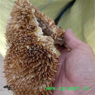 向日葵花盘   净货 产地 河南省图2