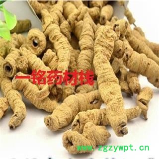 巴戟肉 巴戟肉二级个0.6 产地 广东省图2