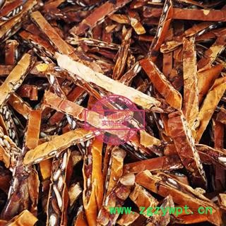 瓜蒌 选货 无籽 产地 河北省图3