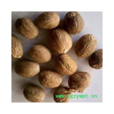 肉豆蔻 好统 产地 广西壮族自治区