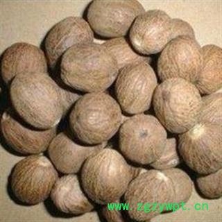 肉豆蔻 好统 产地 广西壮族自治区图2