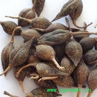 连翘&【国舜堂】产地货源 实物拍照 规格齐全 量大从优 中药材批发供应【连翘】图2