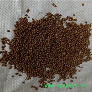 香菜子 选装 产地 河北省 小影全品类中药材店铺图3