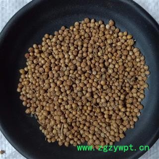 香菜子 选装 产地 河北省 小影全品类中药材店铺图2