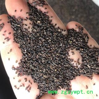 车前子 车前子净货 产地 四川省 小影全品类中药材店铺图2