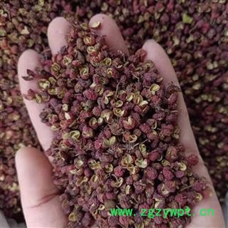 花椒 正品无籽统货 产地 四川省 小影全品类中药材店铺图2