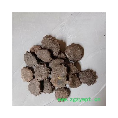 木鳖子 统货 产地 江西省 小影全品类中药材店铺