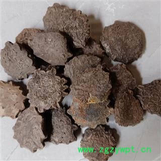 木鳖子 统货 产地 江西省 小影全品类中药材店铺图2