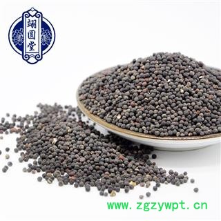 王不留行 选货 产地 河北省图4