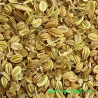 蛇床子 统 产地 山东省图2