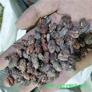 新到去壳砂仁红米无油籽货漂亮货干无硫磺无虫蛀，干净无杂质实物拍摄图3