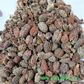 新到去壳砂仁红米无油籽货漂亮货干无硫磺无虫蛀，干净无杂质实物拍摄图2