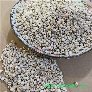 薏苡仁 国产薏苡仁98米 产地 贵州省图2