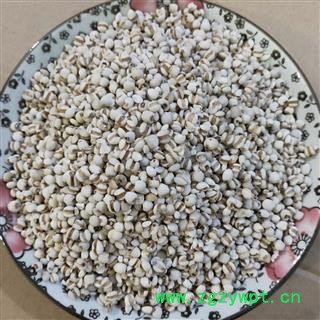 薏苡仁 国产薏苡仁98米 产地 贵州省图3