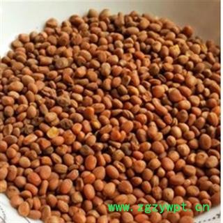 莱菔子 水洗生莱菔子,干净无杂 产地 广西壮族自治区图2