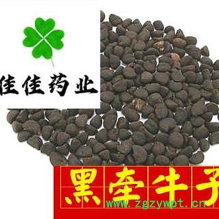 牵牛子 牵牛子黑丑好统货 黑牵牛子 产地直销 供应大货 产地 山东省图2